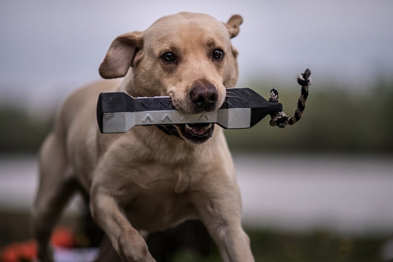 ASD PerfectHold HexaBumper&trade; Dummy, svart och vit