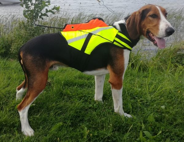 KarDog Raipe GPS-Huomioliivi 2-V&auml;rinen