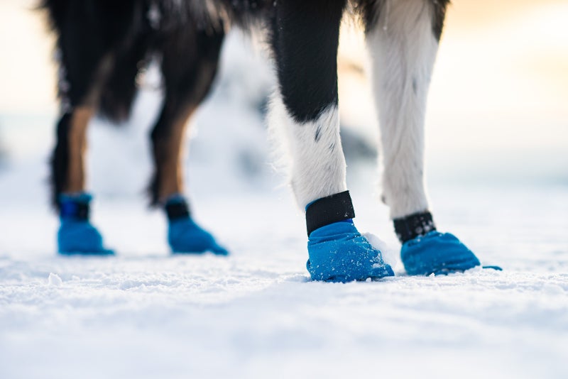 Non-stop Dogwear skyddsst&ouml;vlar bl&aring;, 4 st